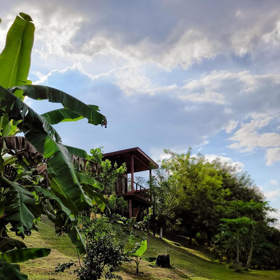 Yumas Riverfront Lodge ซานอิกนาซิโอ ภายนอก รูปภาพ