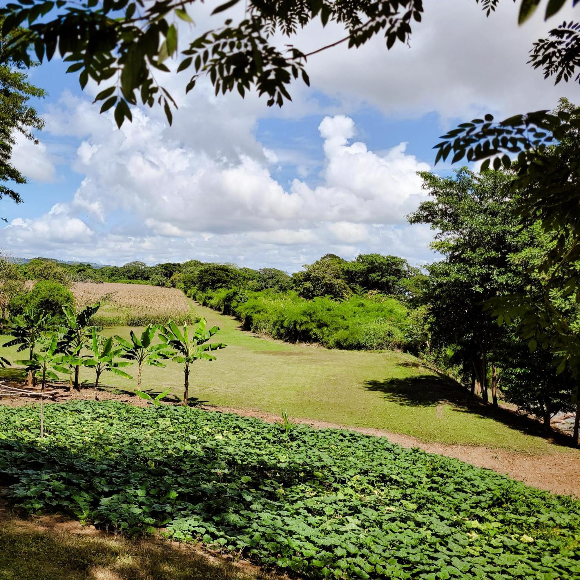 Yumas Riverfront Lodge ซานอิกนาซิโอ ภายนอก รูปภาพ